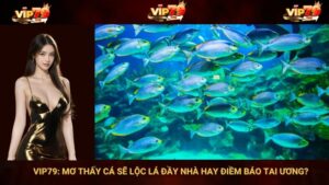 VIP79: Mơ Thấy Cá Sẽ Lộc Lá Đầy Nhà Hay Điềm Báo Tai Ương?